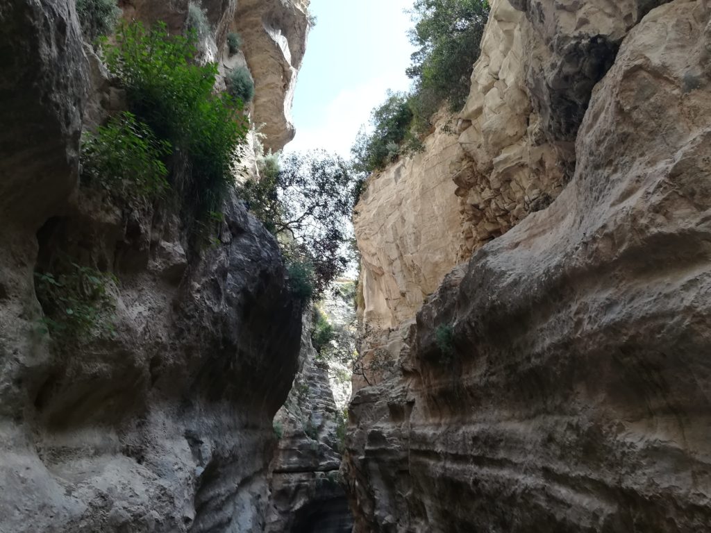 Ущелье Авакас